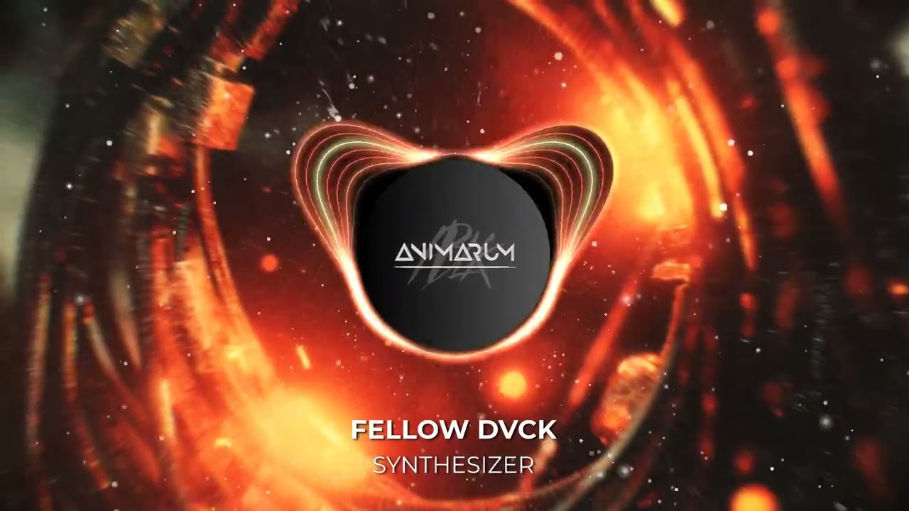 Fellow Dvck - Synthesizer