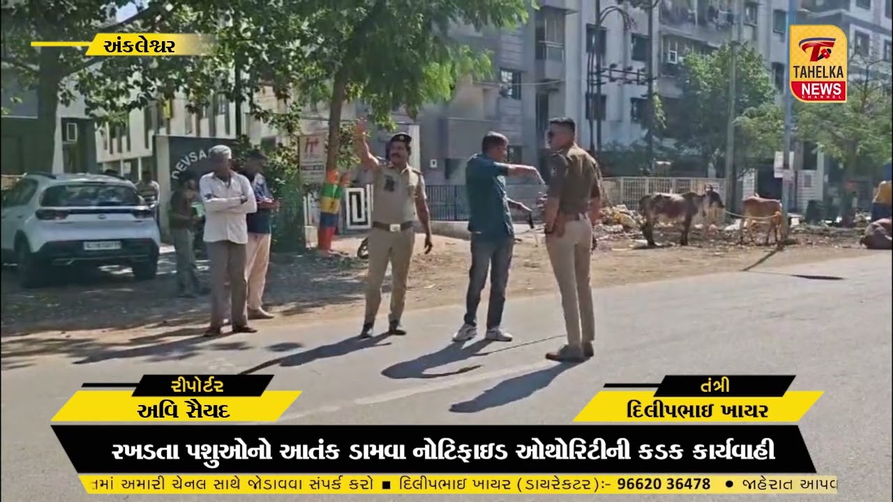 GIDCમાં રખડતા પશુઓનો આતંક ડામવા નોટિફાઇડ ઓથોરિટીની કડક કાર્યવાહી