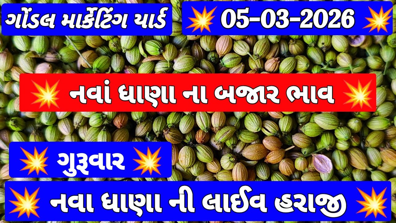 ગોંડલ ધાણા ના બજાર ભાવ | 05-03-2026 | Nava Dhana Na Bhav | ધાણી ના ભાવ | ગોંડલ માર્કેટ યાર્ડ ના ભાવ