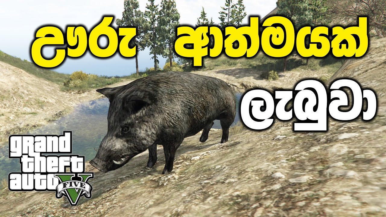 විල ළඟ තියෙන අභිරහස් පැළෑටිය කාලා ඌරෙක් වුණා🐖 | GTA V Sinhala Gameplay