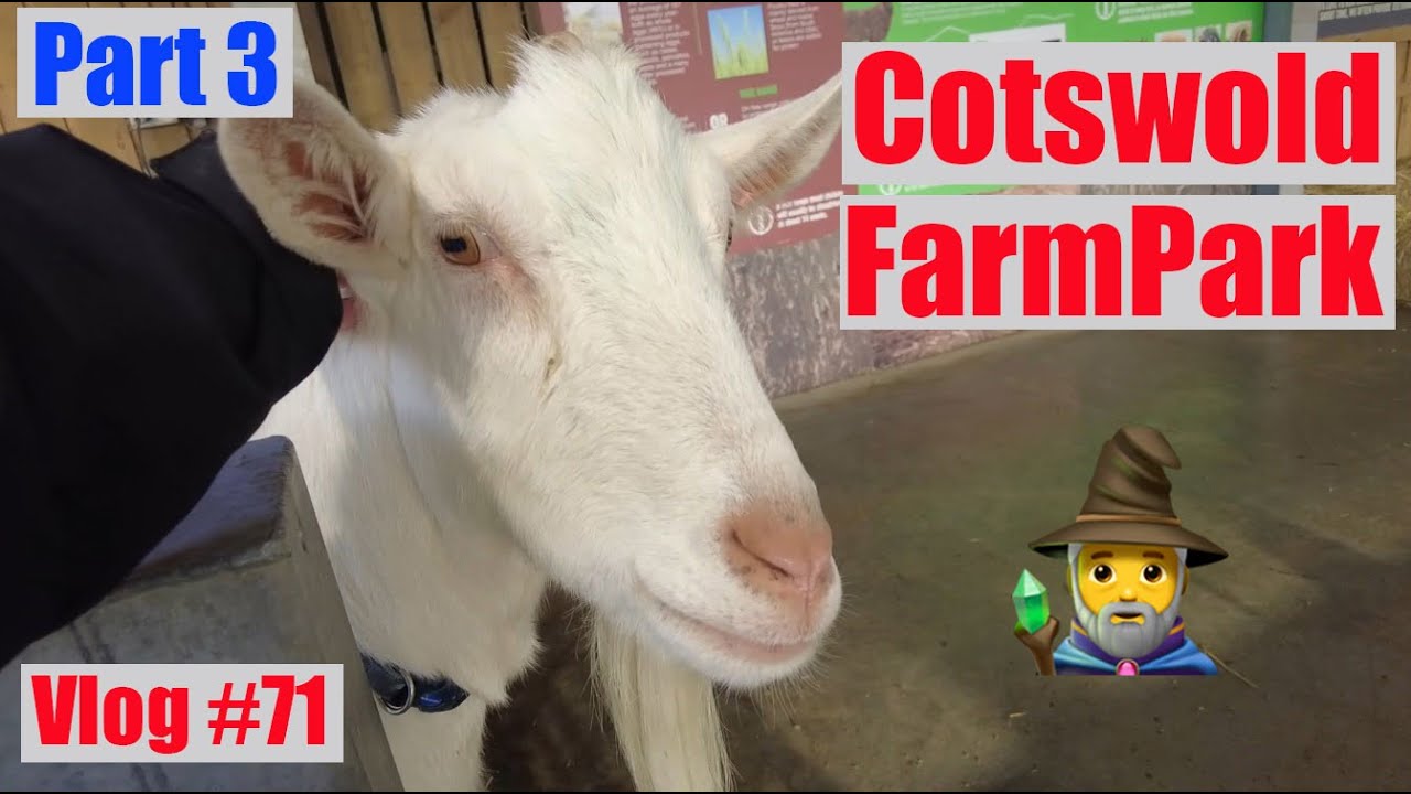 COTSWOLD FARM PARK CAMPSITE ADAM HENSON Ep3 over NewYear