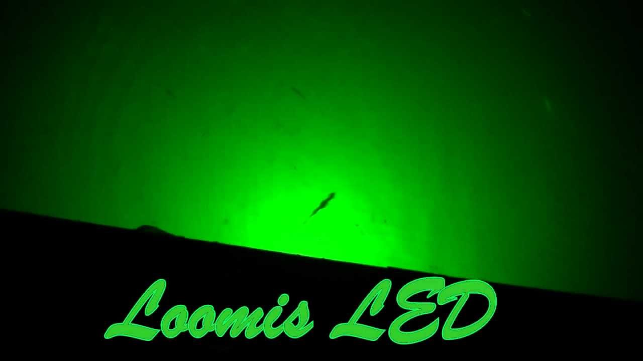 Loomis LED HD