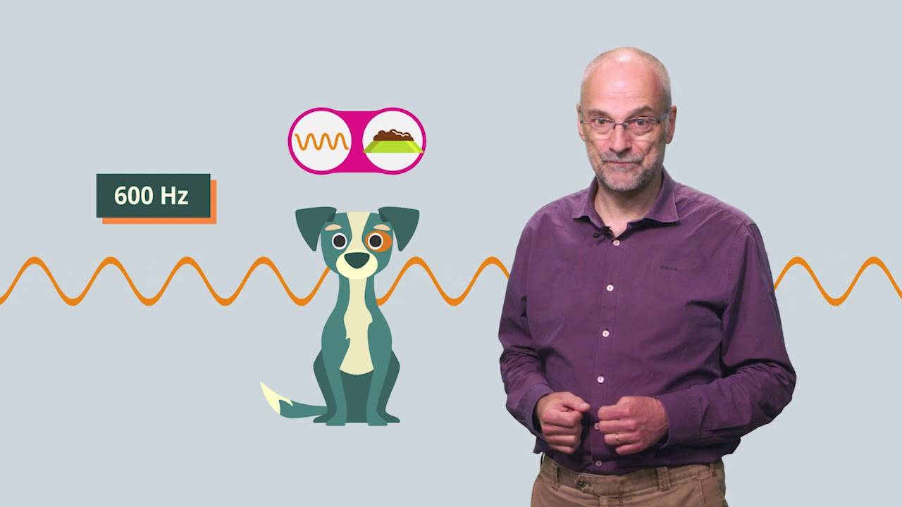 Hva er klassisk betinging innenfor psykologi?