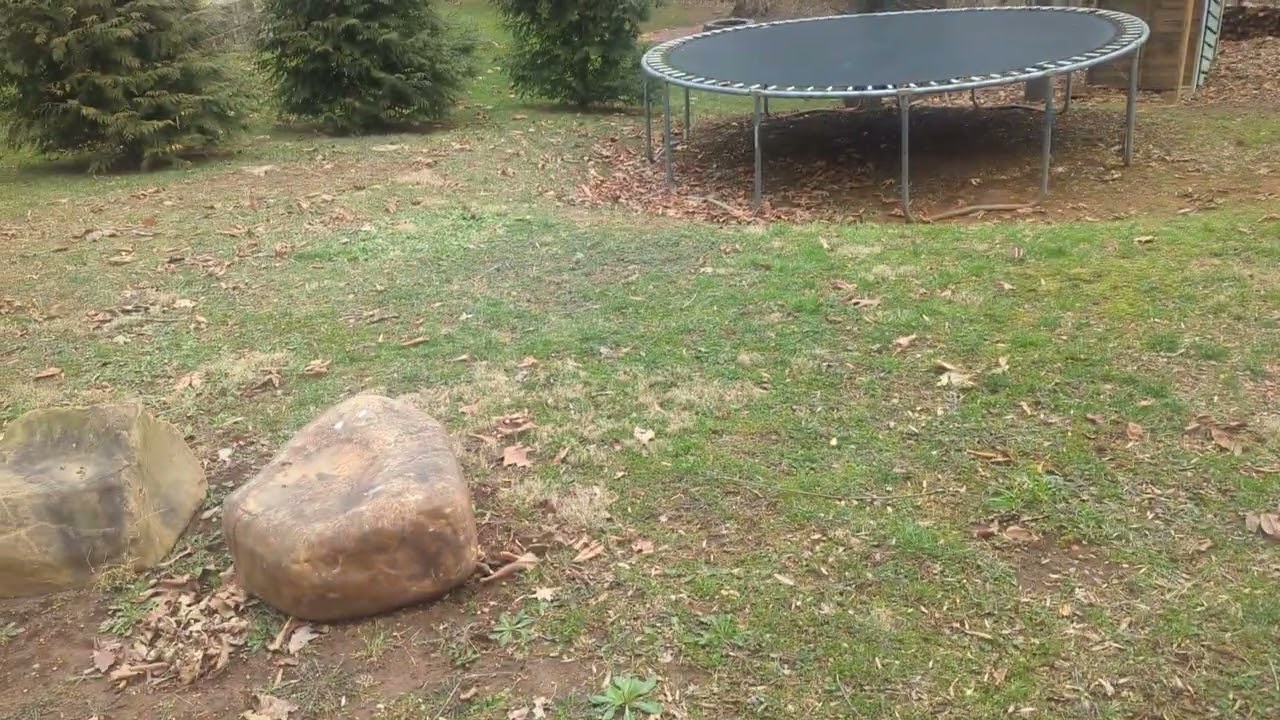 B. W.'s Lawn