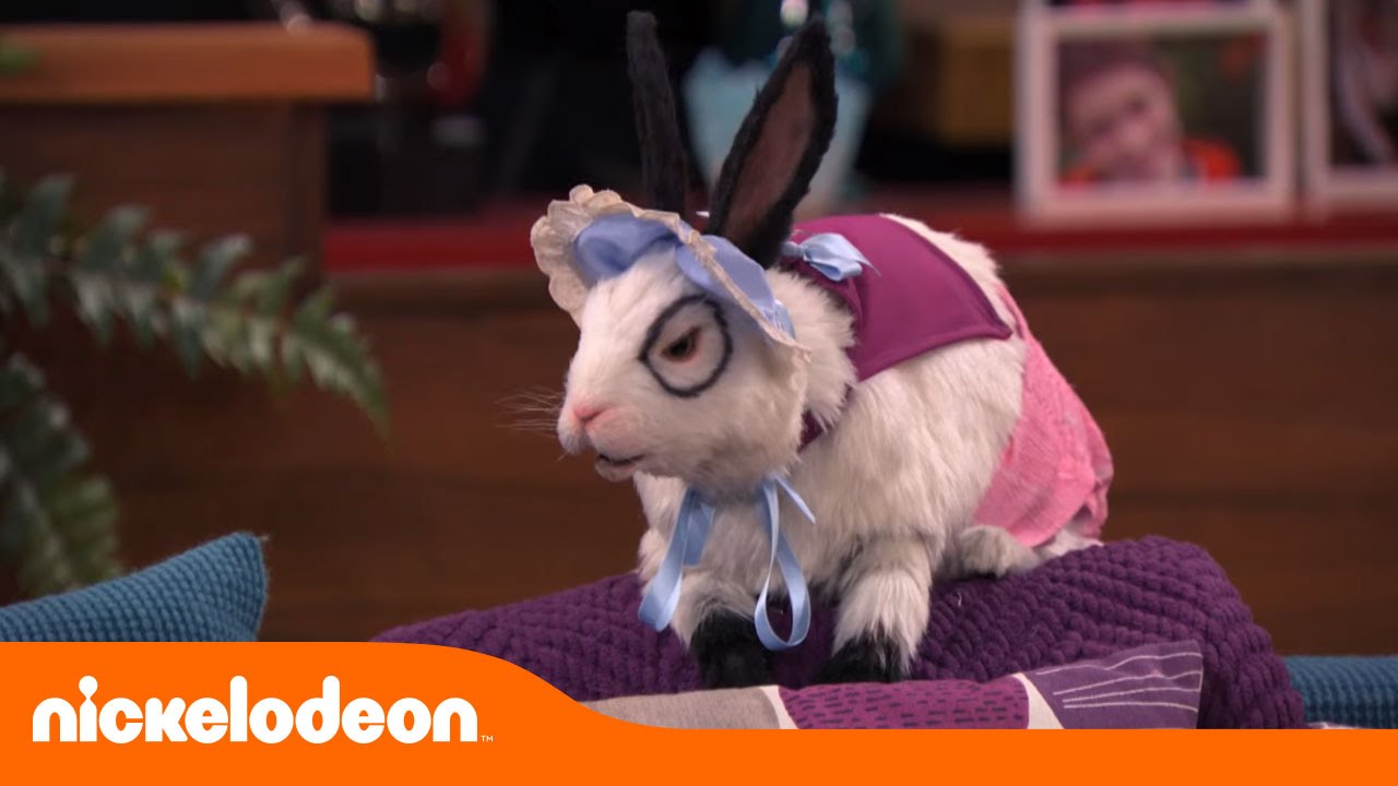 Los Thundermans | El conejo más gracioso | Nickelodeon en Español