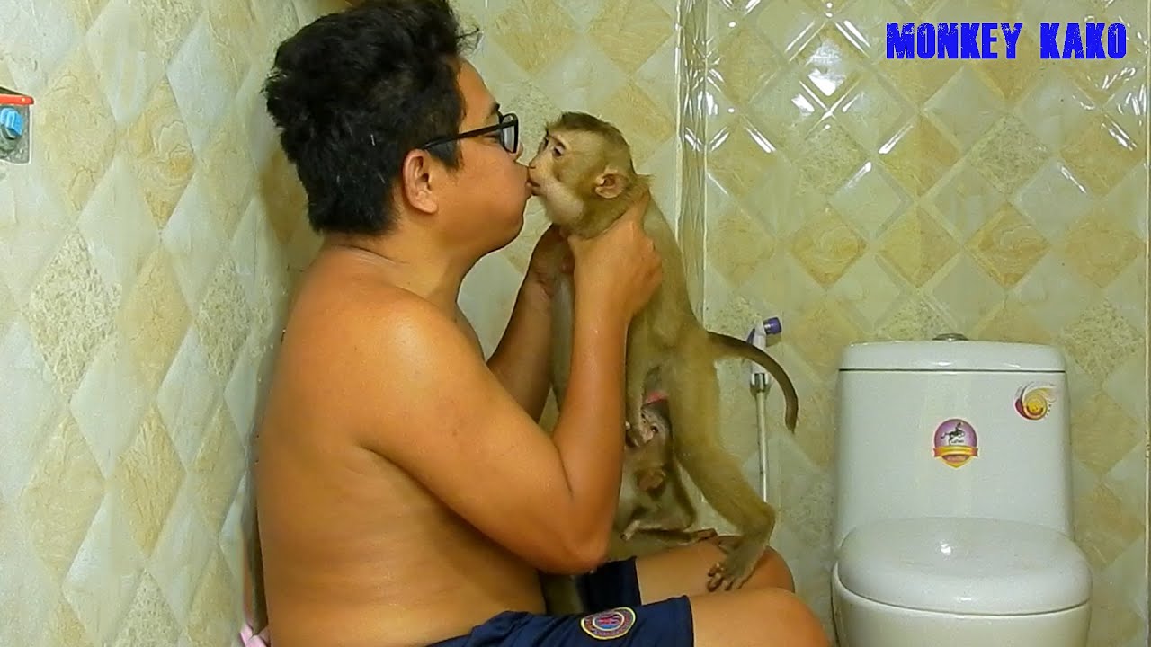 Monkey Luna Looking Daddy Blowing Mouth Of Monkey Kako When Taking Bath Together