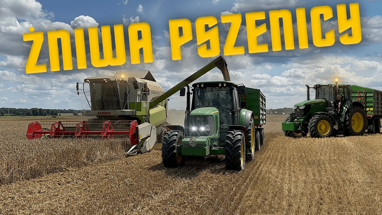 🇵🇱Żniwa Pszenicy 2024㋛︎Claas Medion , 2x John Deere,Ursus㋛︎Lubuskie