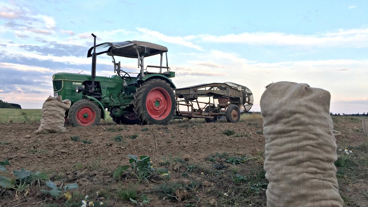 Kartoffeln 2016 - Mit Deutz D4005, Rau Kombi & Samro