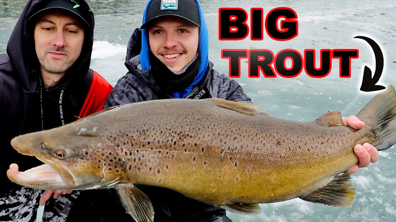 Ice Fishing BIG Trout!