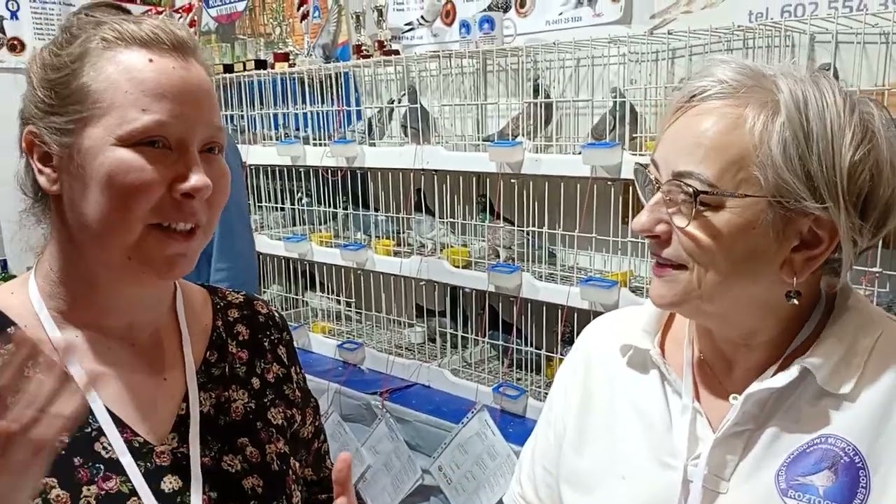Expo gołębie, WG Roztocze, żona rozmawia 