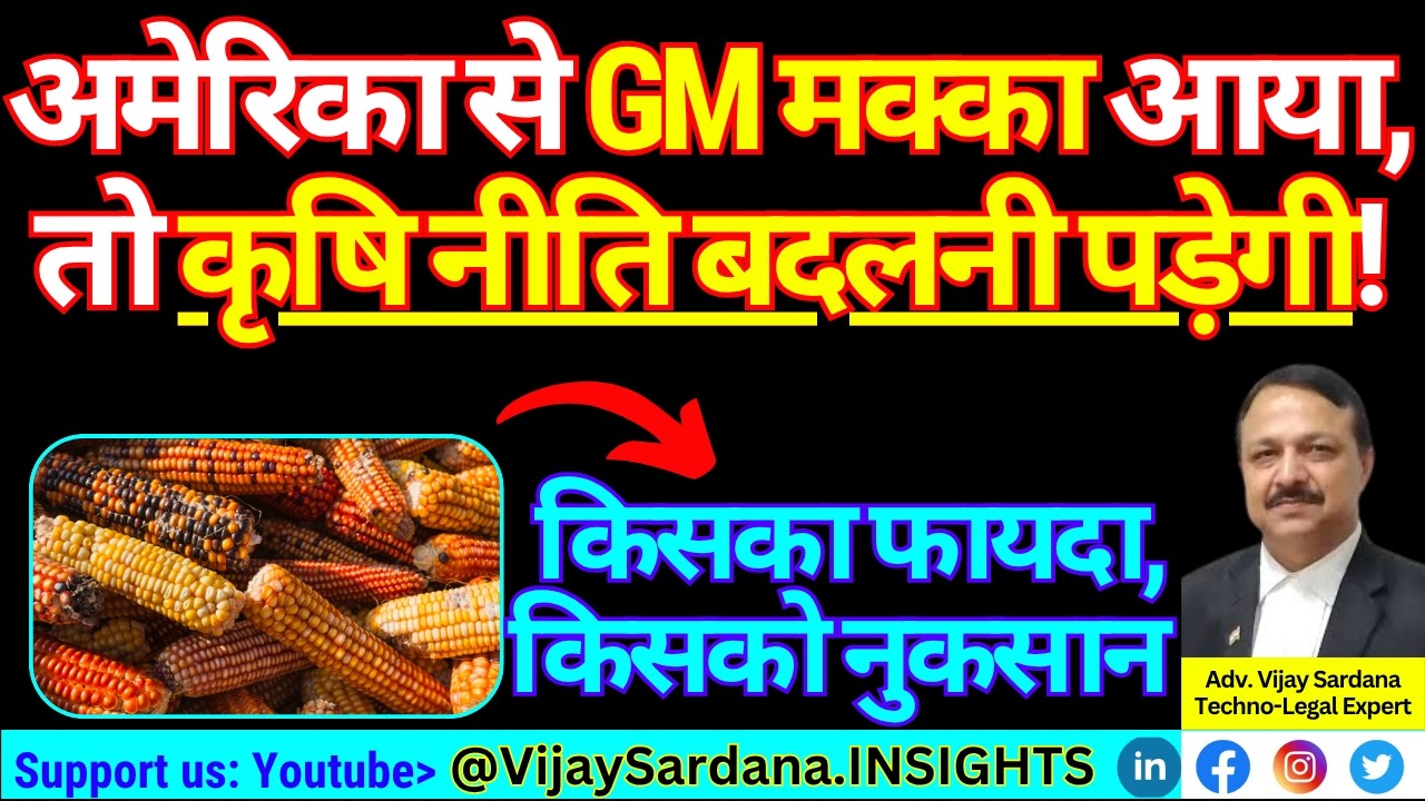 ट्रंप के दबाव में GM मक्का का आयात हुआ तो क्या होगा?