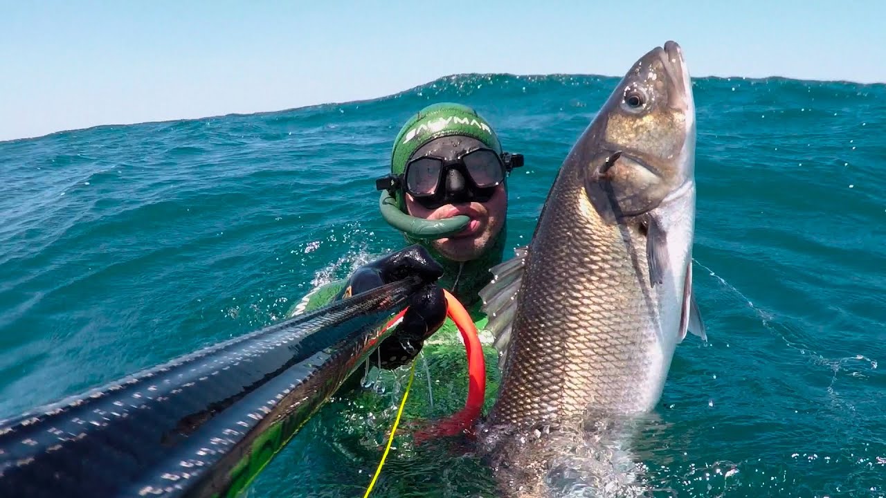 SPEARFISHING III