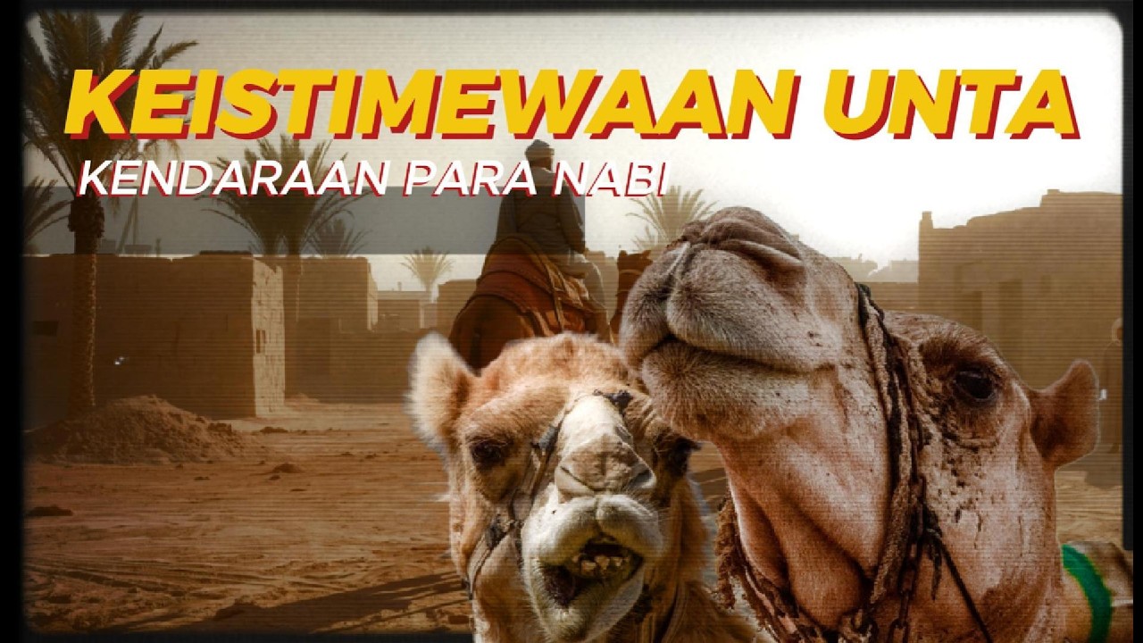 hewan ini sudah didesain menyesuaikan kondisi gurun