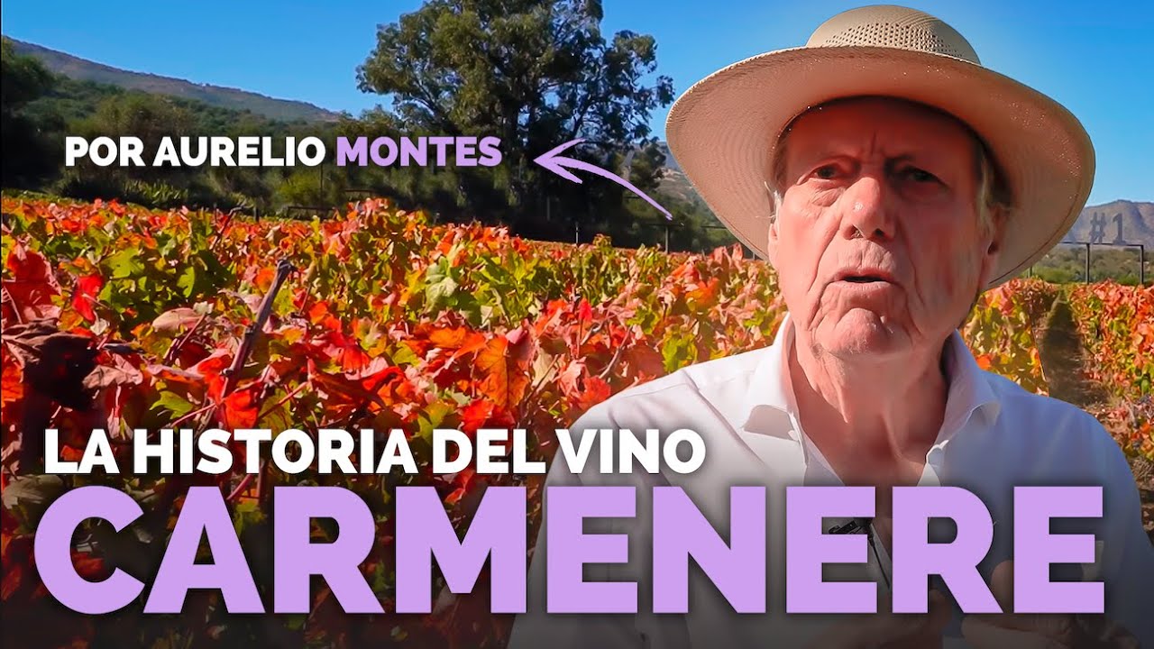 La Historia del Carmenere
