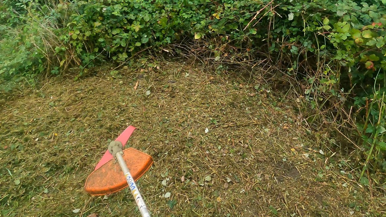 Débroussaillage Ronces avec lame de broyage Oregon & stihl FS 130 @Stihl @stihlusa@OREGONproducts 