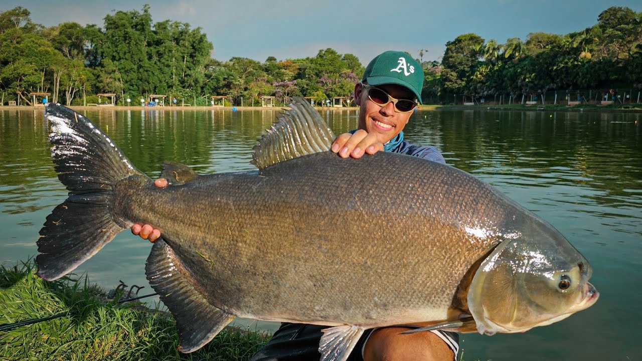 UM PARAÍSO PARA PESCA DE CEVADEIRA! Trip em São Paulo parte 3/3