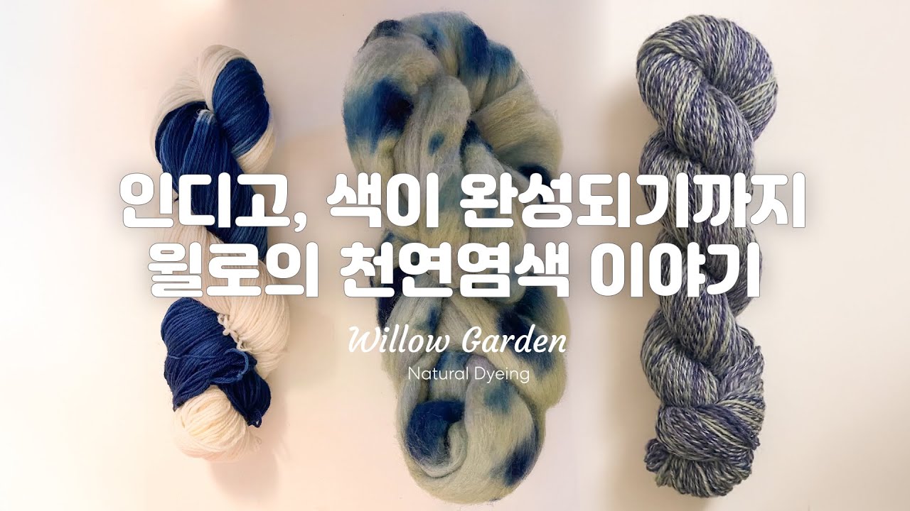 [윌로의 천연염색이야기] 첫 인디고 염색 도전! 인디고로 물들인 블루베리 맛보세요~