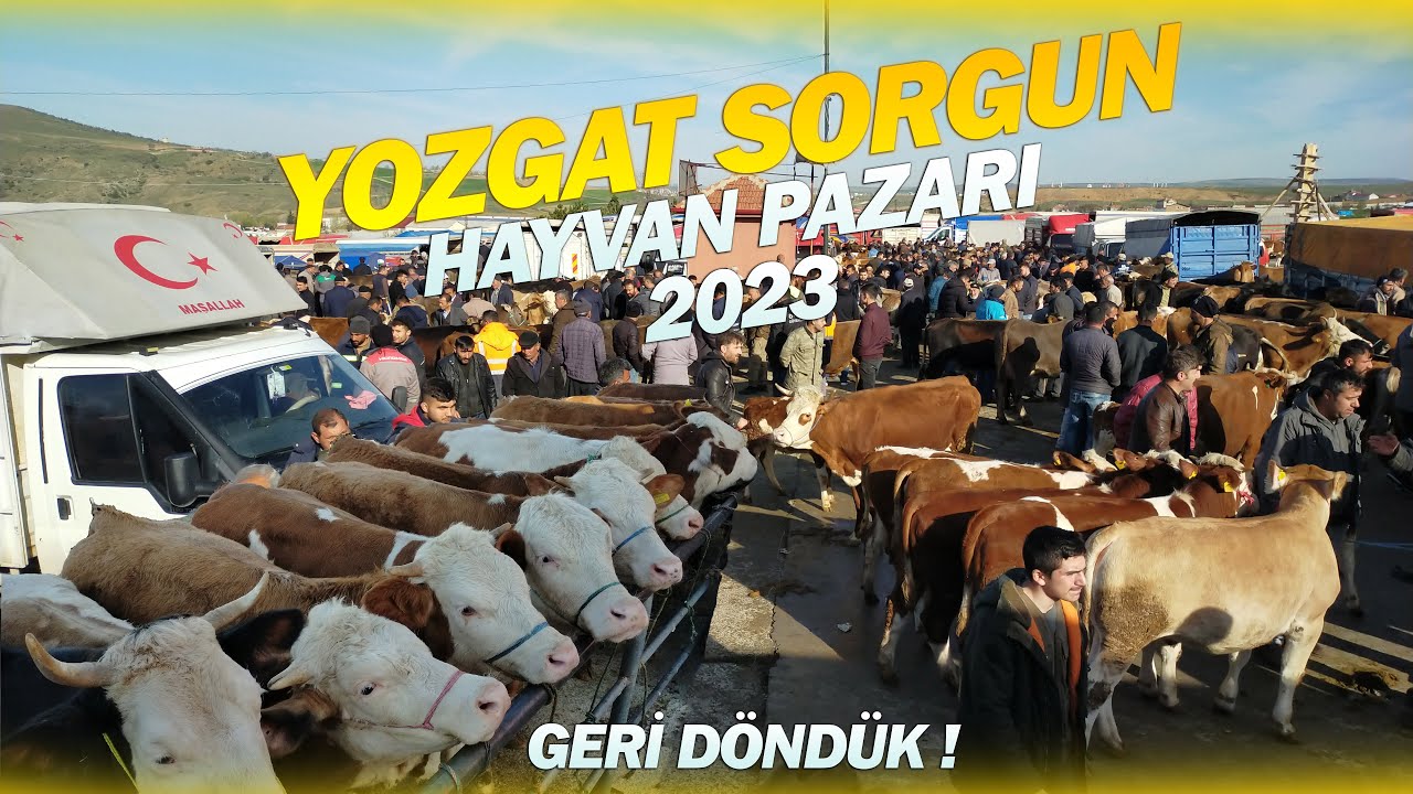 YOZGAT / SORGUN HAYVAN PAZARI ! | BOL PAZARLIKLI VİDEO !!!