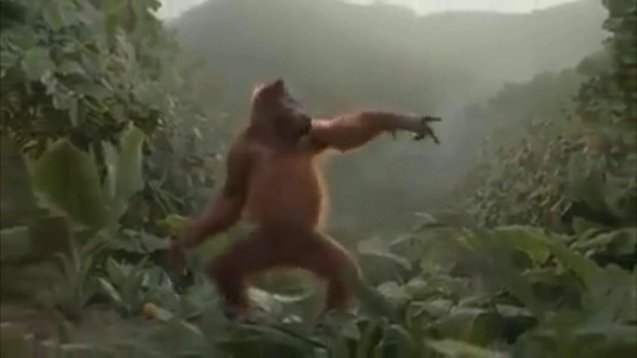 Macaco dan&ccedil;ando ao som de 