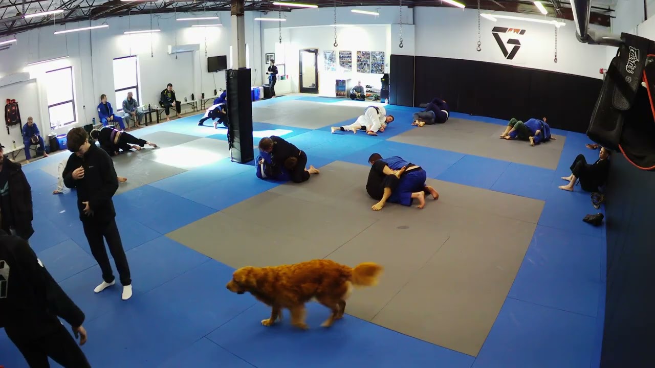 open roll 3