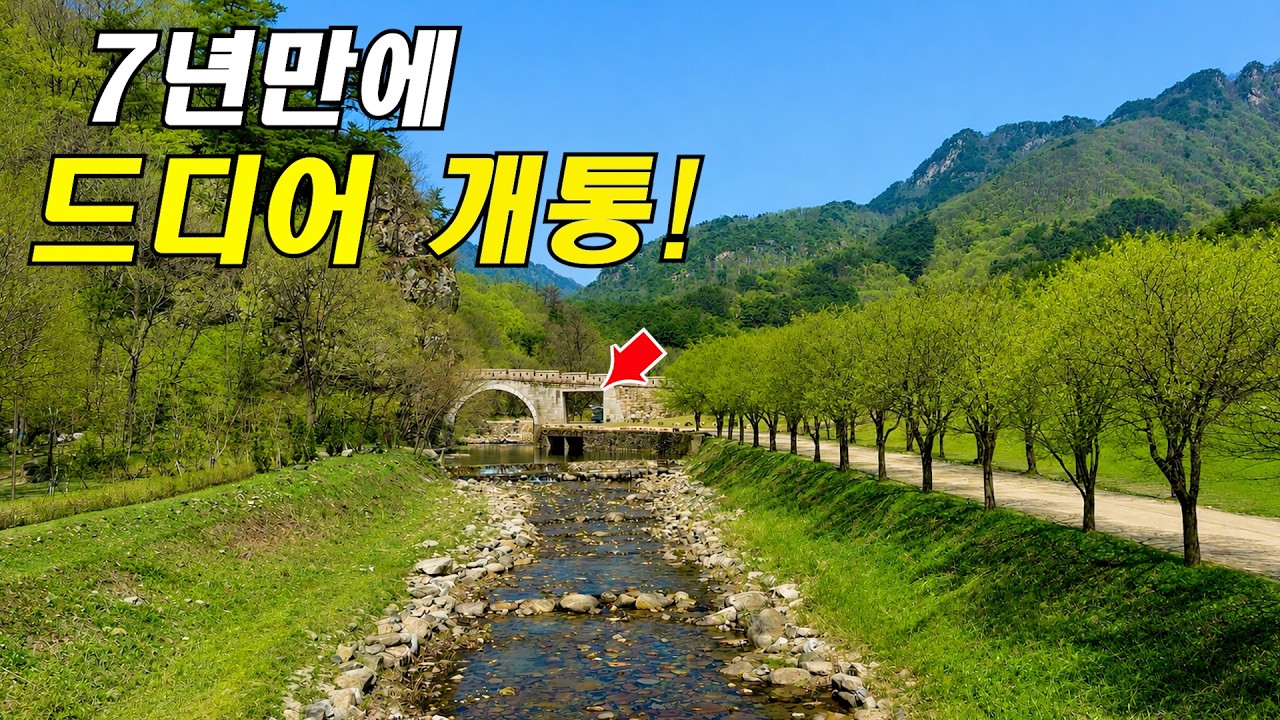 무려 7년...드디어 이 험한곳을 넘어갑니다! 국토 내륙을 가로지르는 직통열차 타고 떠나는 기차여행  | 대중교통 당일치기 여행