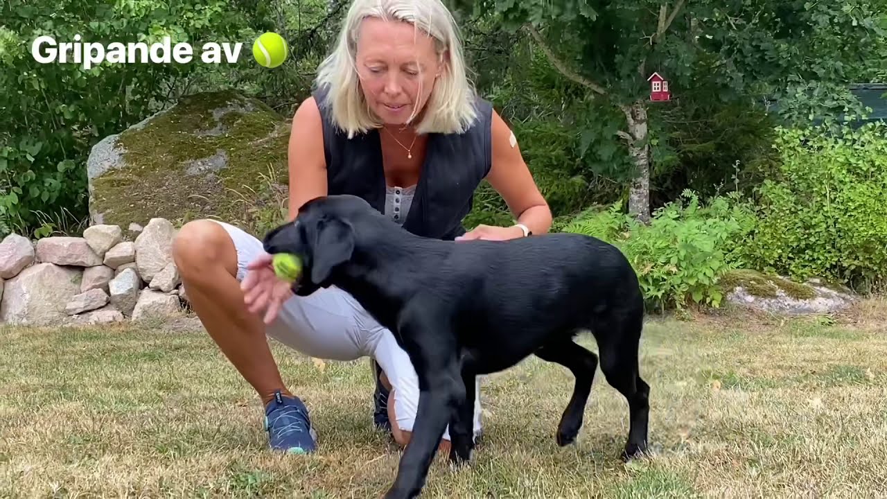 Flix fyra m&aring;nader b&auml;rande och apportering