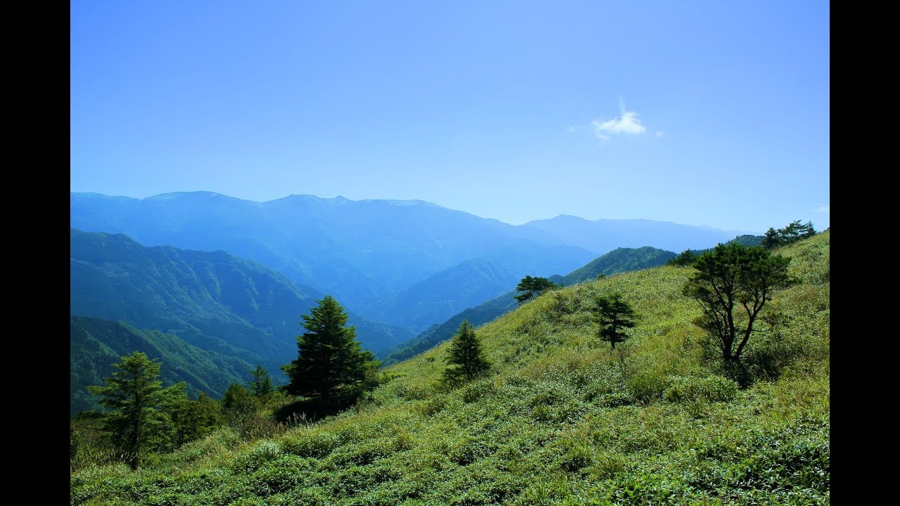 【険道★/絶景！四国最高峰の峠】徳島県道44号 三加茂東祖谷山線 part 2【落合峠】