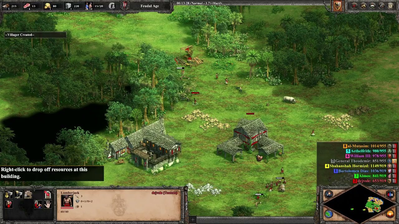 Age of Empires II Definitive Edition Skirmish 35