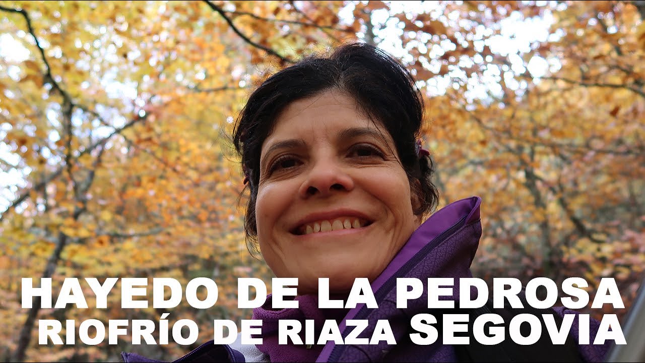 Ruta Hayedo de la Pedrosa, Riofrío de Riaza noviembre de 2023 por Deya La Exploradora