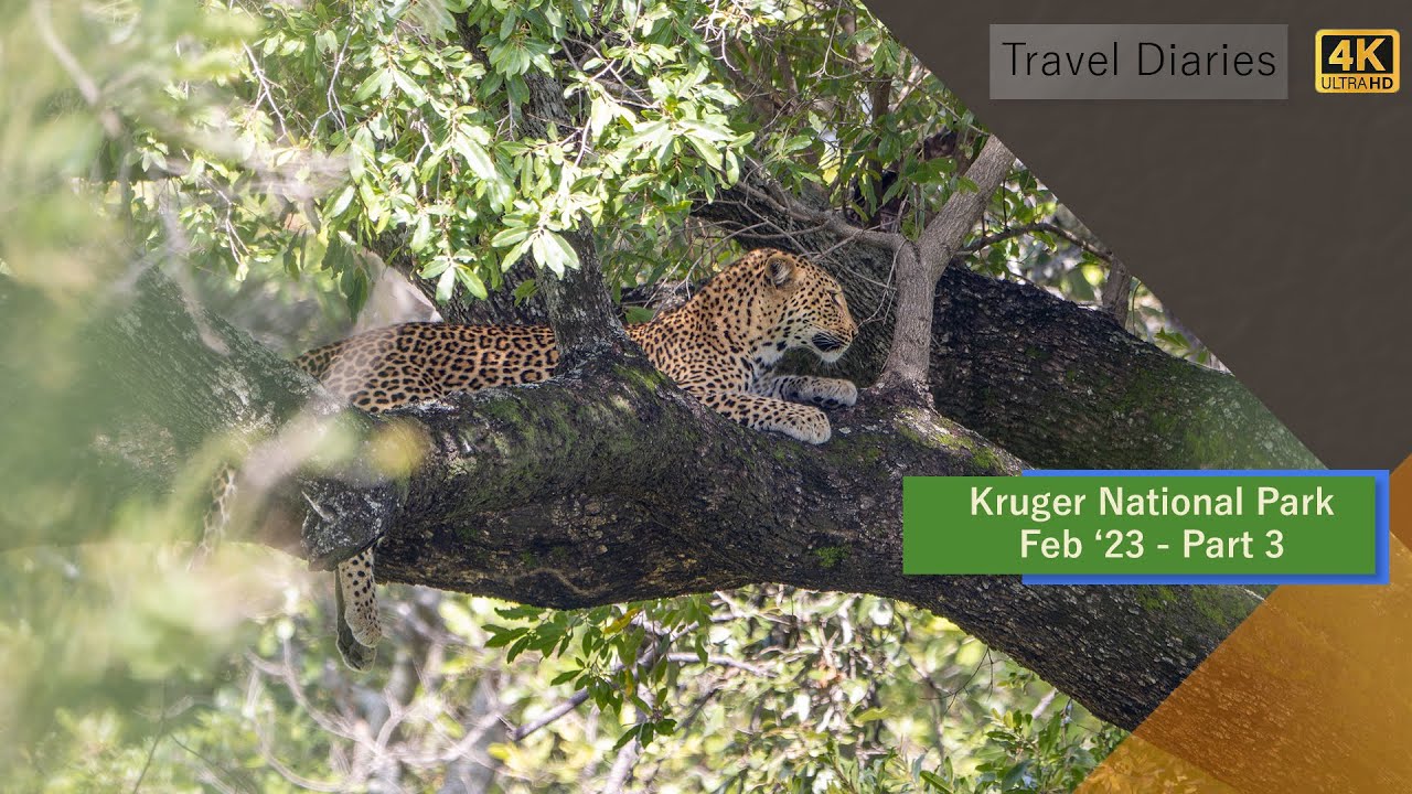 Kruger National Park | February Solo Trip - Part 3 | Punda Maria & Shingwedzi