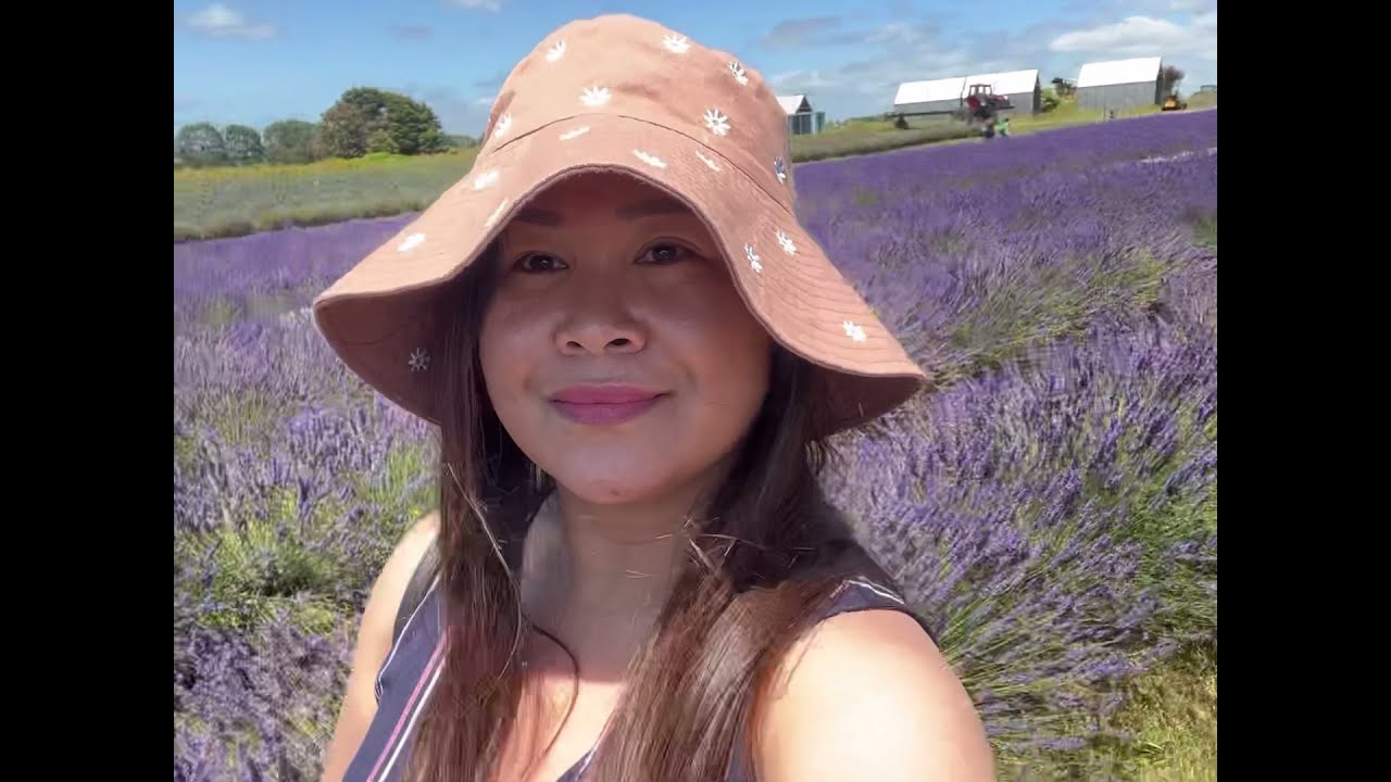 CCT Lavender Farm & Cafe Auckland New Zealand#nzyoutuber#ofw#pinayinauckland#dailyvlog#familyvlog
