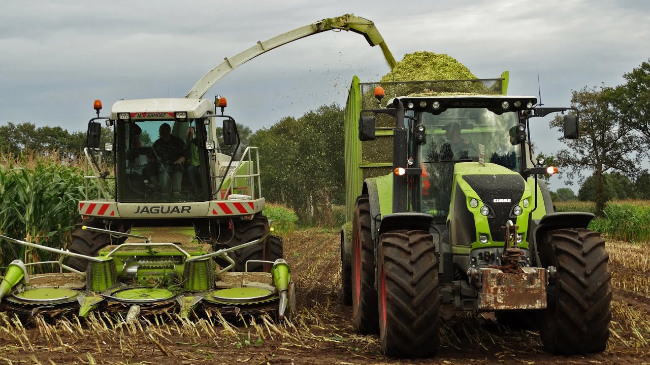 Claas Jaguar 870 - Xerion 3300 - Axion 830 - Nijkerk - Verhoef - Nederland - Mais - Maize - 2014.