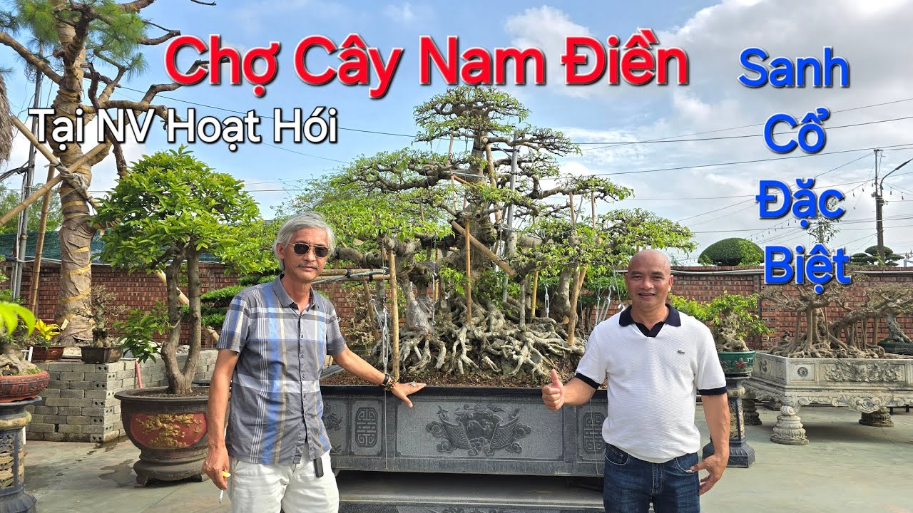 TIN MỚI ! KHAI TRƯƠNG CHỢ CÂY NAM ĐIÊN ( gần 1000 TP ) tại NV anh HOẠT HÓI - ĐẸP NHƯ TRIỂN LÃM.