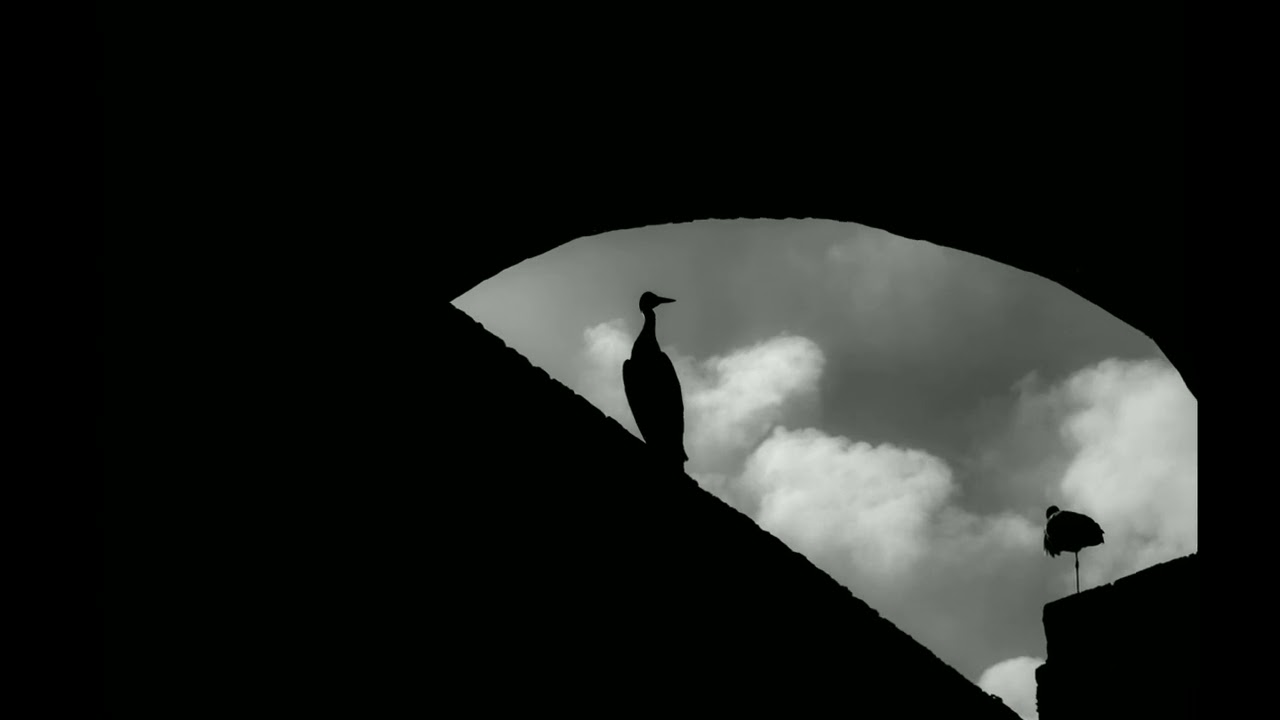 Choir Trap Type Beat/Freebeat 2022 [Free] - 