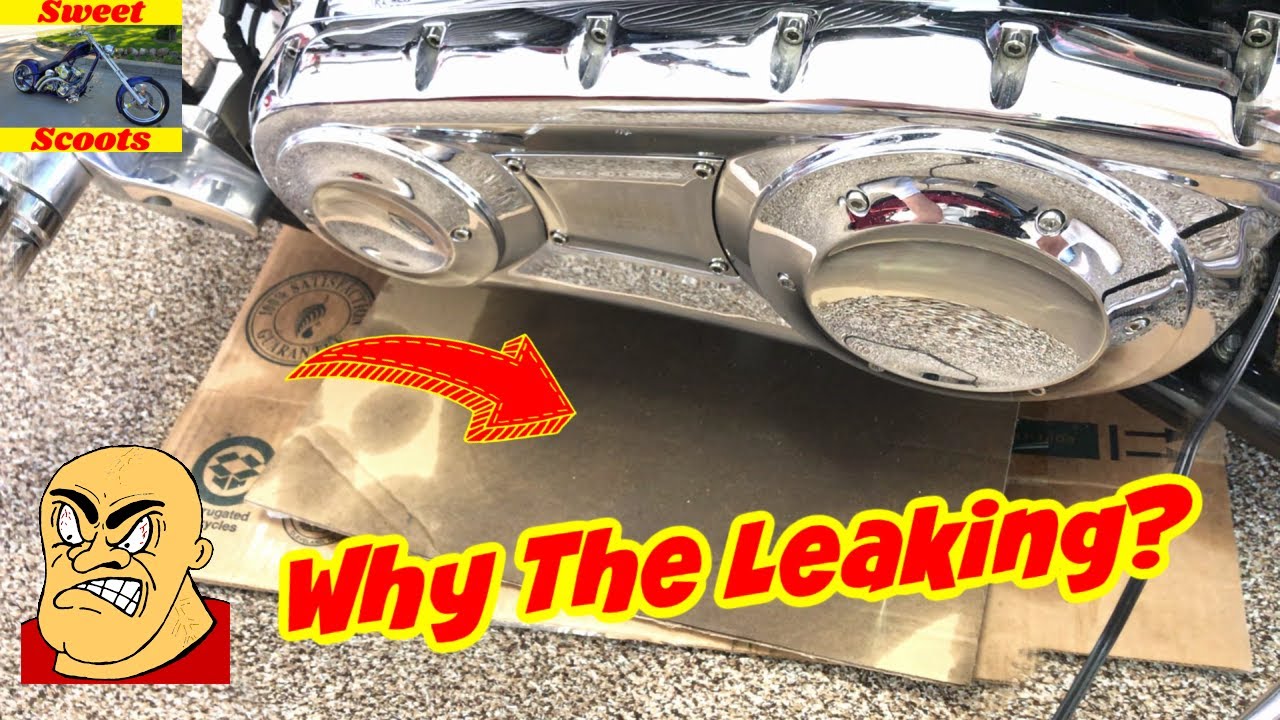 How Did I let My Big Dog Pit Bull Get So Bad...Plus Info on OUR New Polishing Tool!