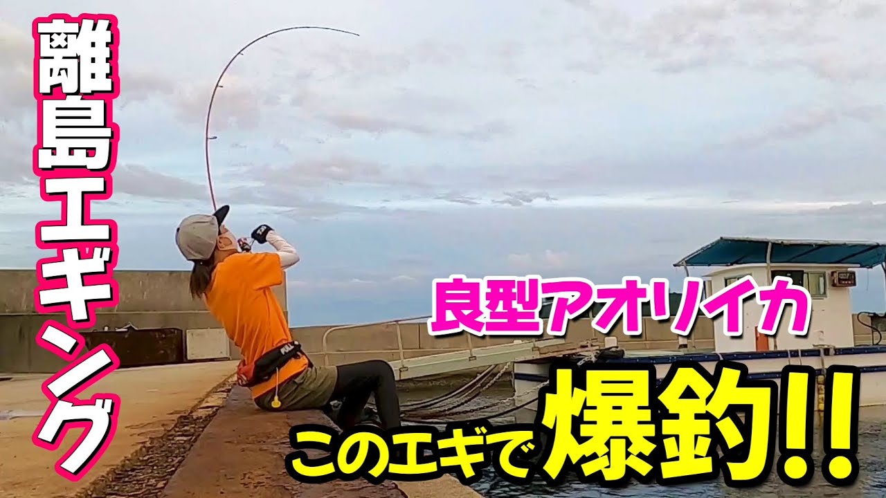 【エギング】秋!! 離島で、良型のアオリイカが爆釣しました♪
