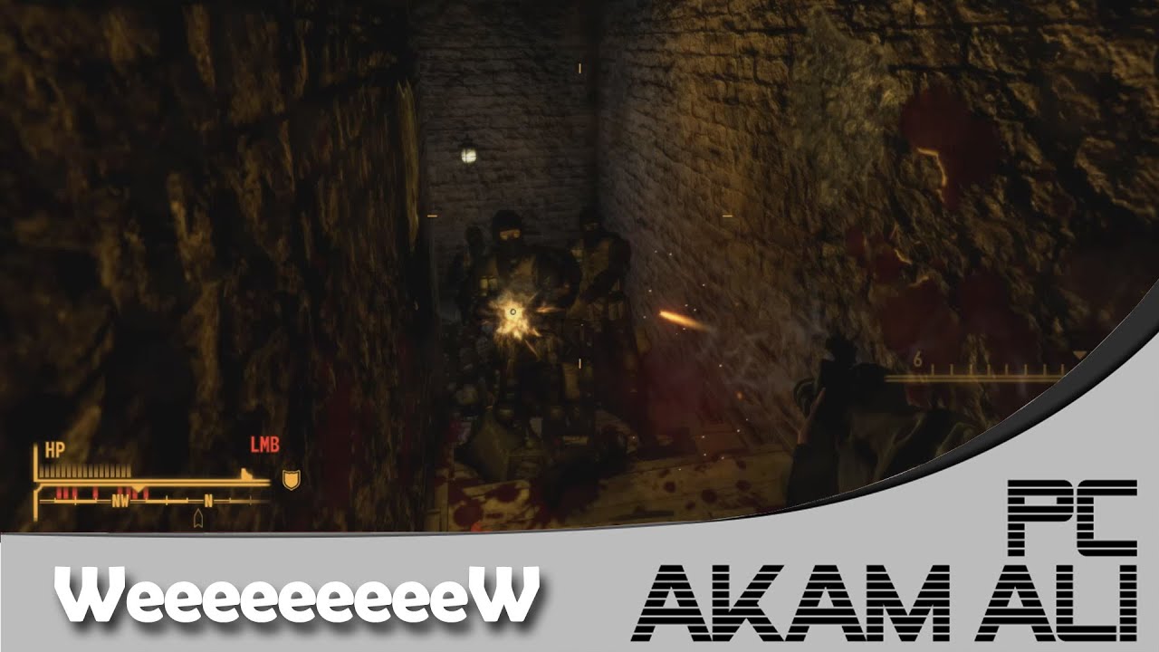 Fallout New Vegas - Shit