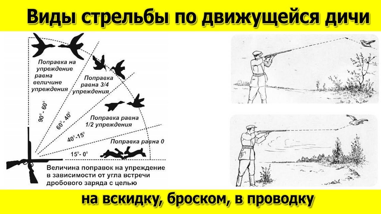 Что такое стрельба на вскидку, стрельба броском и стрельба в проводку