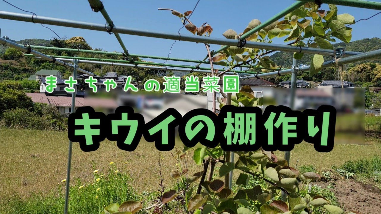 キウイの棚作り【 まさちゃんの適当菜園 】
