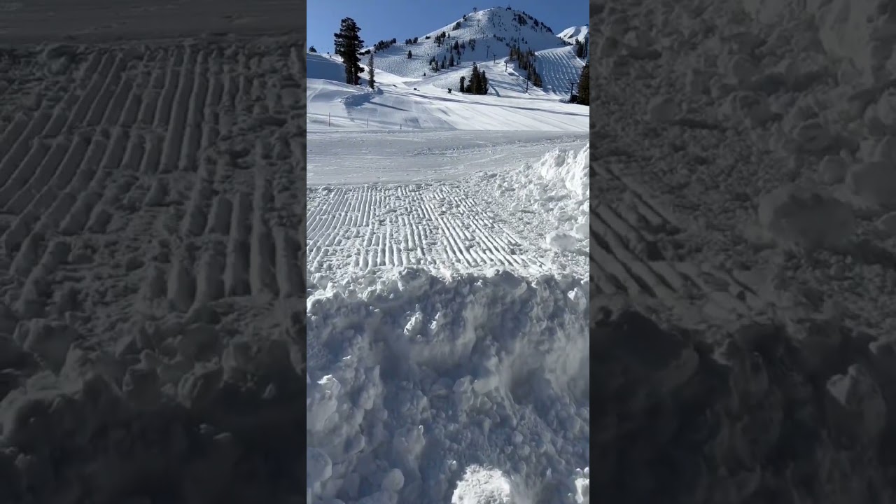 Mammoth Mountain has got so much snow this winter! #mammothmountain #skiing