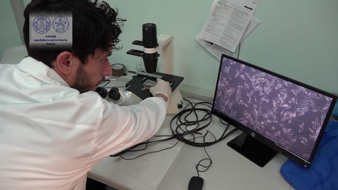 La lotta al cancro con l'immunoterapia oncologica: il dottor Michele Maio presenta il CIO di Siena
