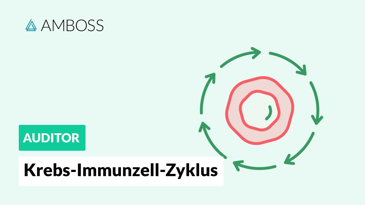 Der Krebs-Immunzell-Zyklus -- AMBOSS Auditor