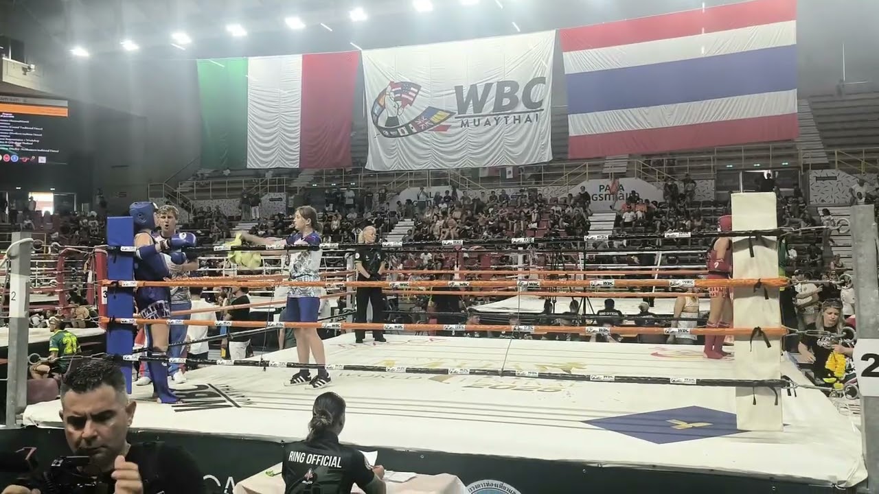 Мировой турнир по WBC Muay Thai, Верона, Италия...)