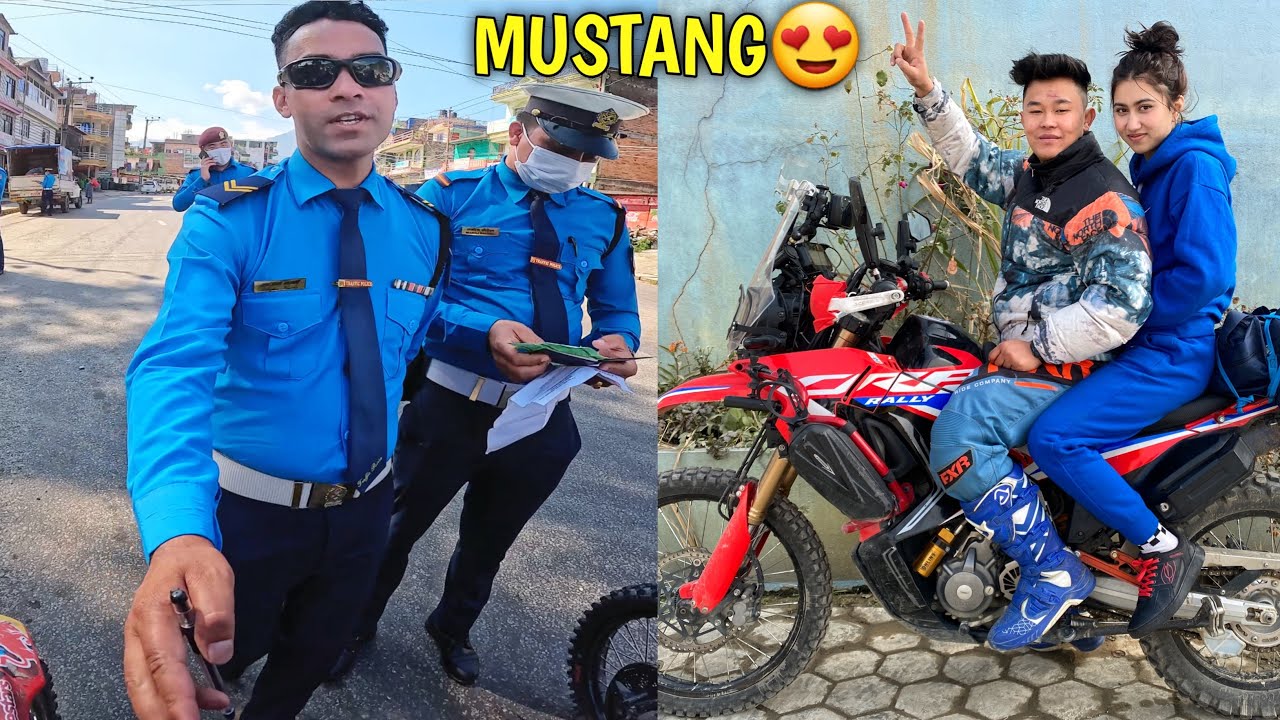 FINALLY MUSTANG PUGYO😍 / ​⁠GOOD TRAFFIC POLICE DAI / @rajkumarthapamagar32
