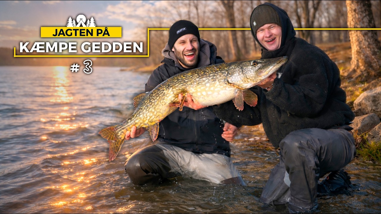 Fanger en 110cm Gedde med 