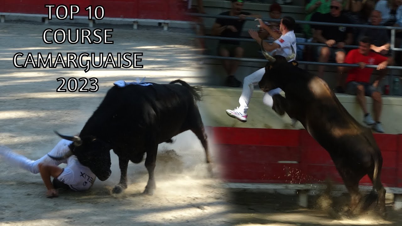 TOP 10 COURSE CAMARGUAISE 2023