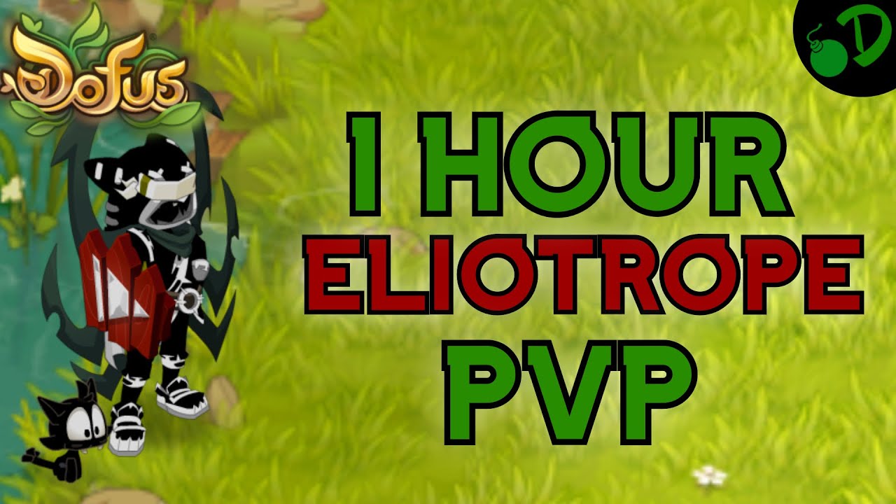 1 HOUR OF PVP LIVE | ELIOTROPE