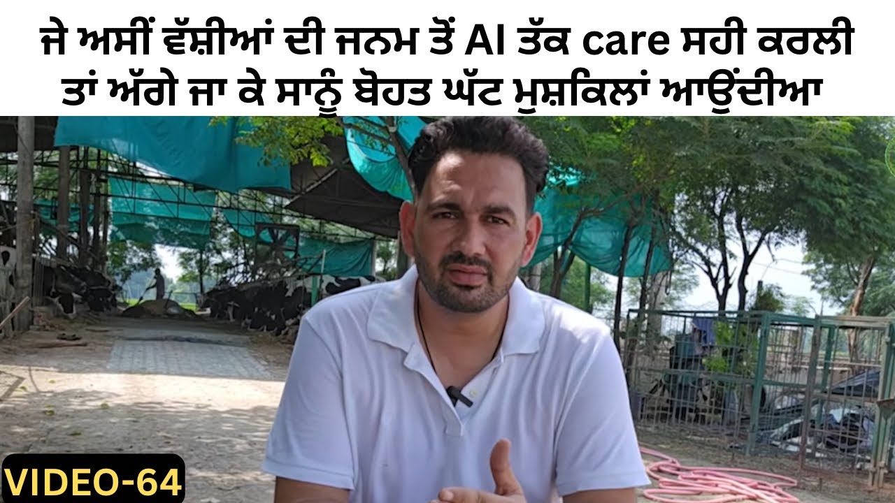 Incomplete information about calf or not giving any thought will not make the dairy farm successf...
