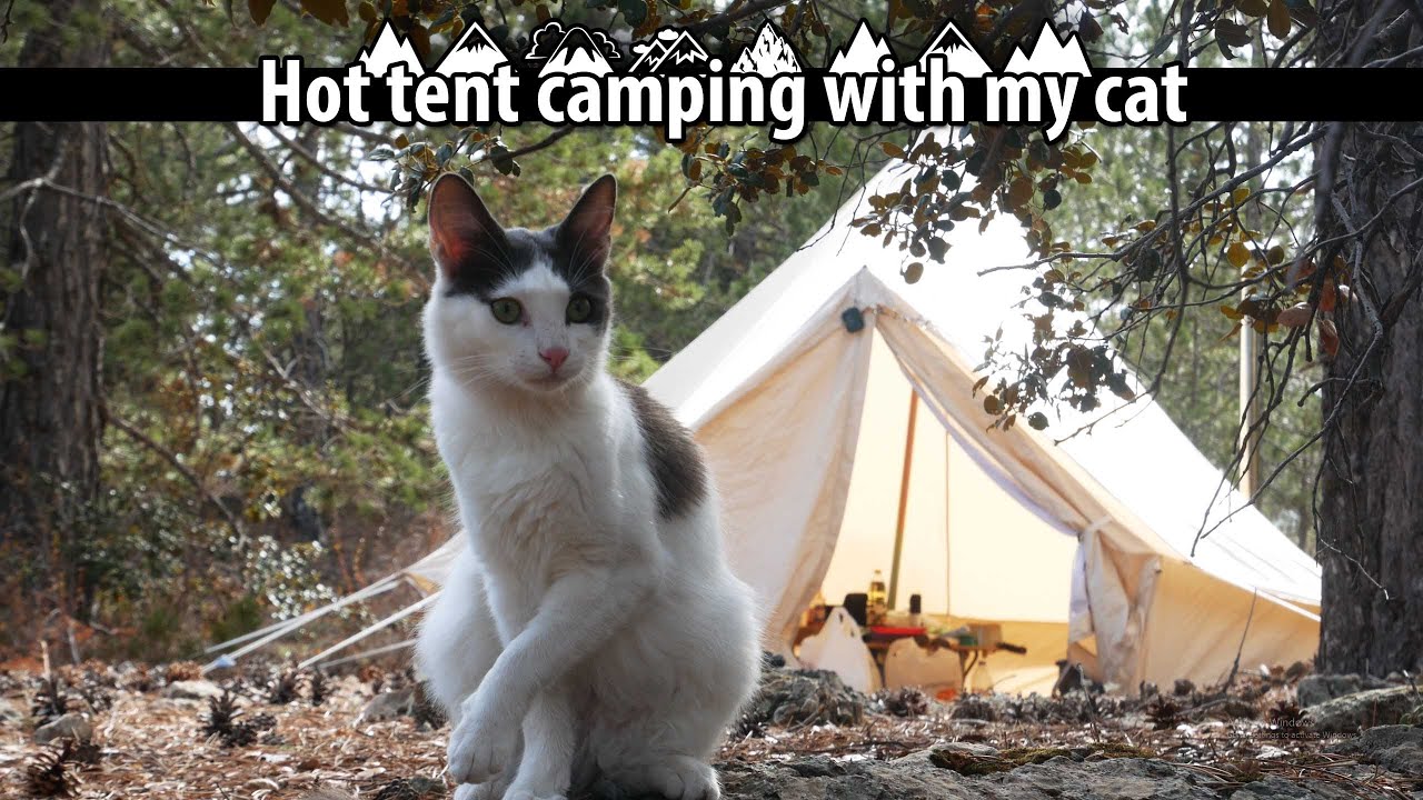 Camping in the woods with my cat.. Cyprus camping. (ASMR camping)