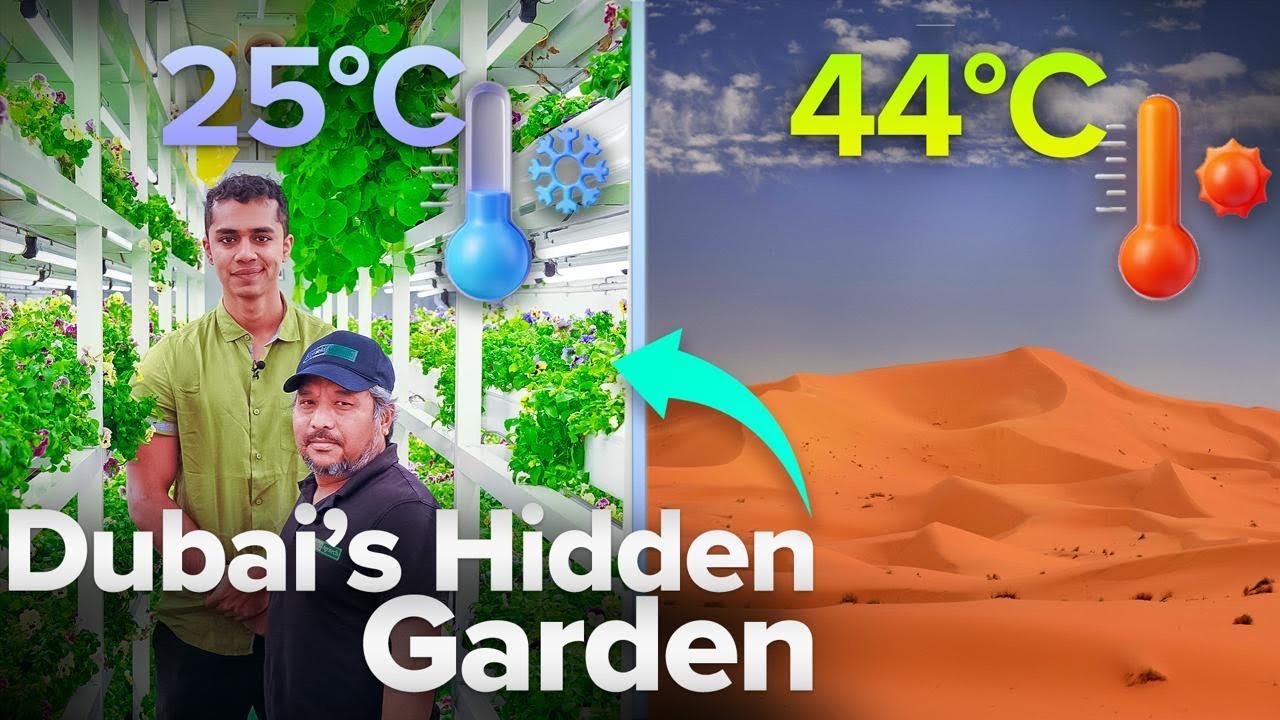 Edible Flowers in the Desert? Dubai's Vertical Farming Revolution | AgriTalk by Abhinav